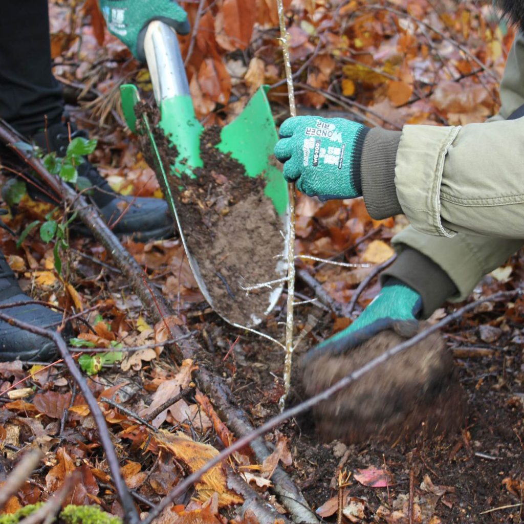 lanybook_notizbuch_nachhaltigkeit_11 Kopie