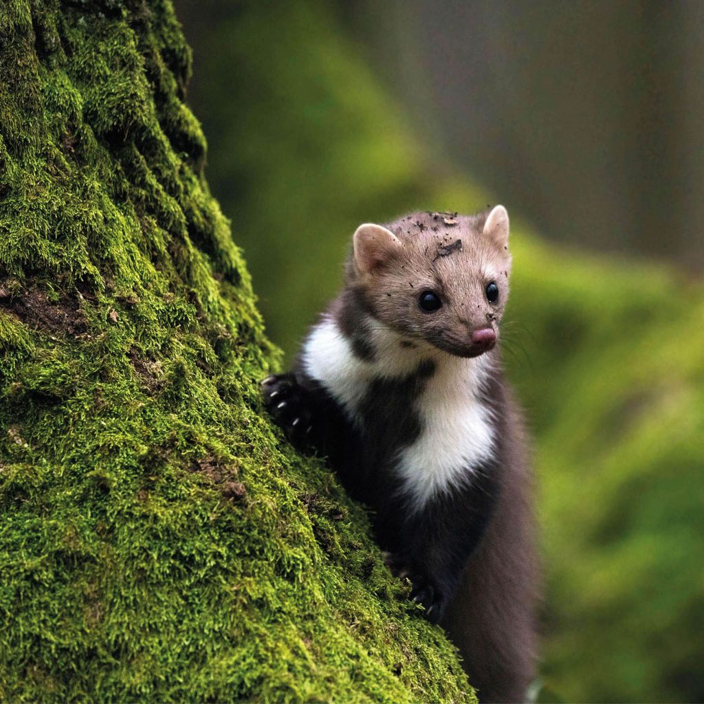lanybook_notizbuch_nachhaltigkeit_ocean_plastic_co2_bild_2 Kopie